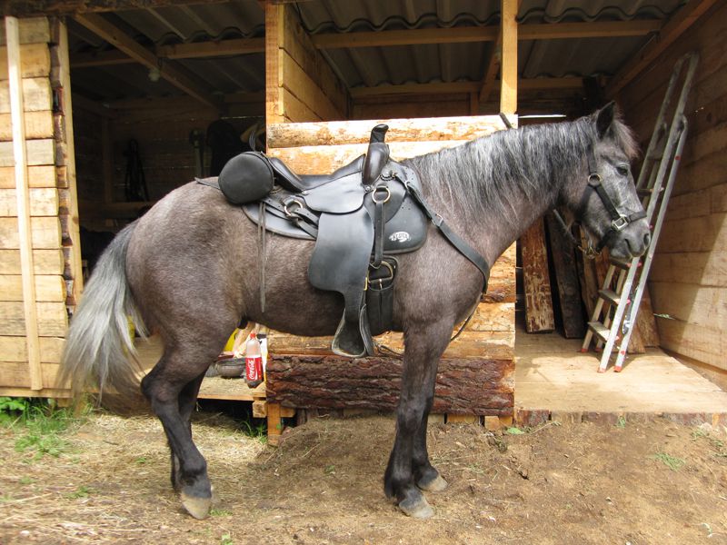 Selle de randonnée confortable