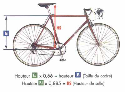 Selle velo sur mesure