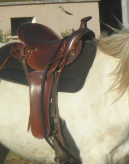 Selle longue distance