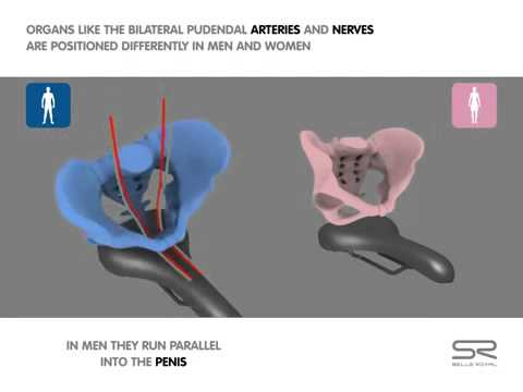 Selle velo route confortable homme