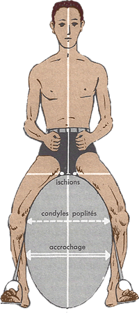 Ischions selle