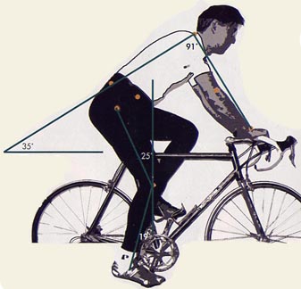 Selle velo morphologie