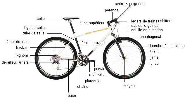 Selle vélo hauteur