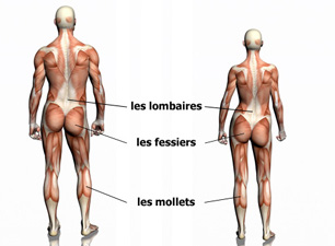 Vélo d appartement à vendre