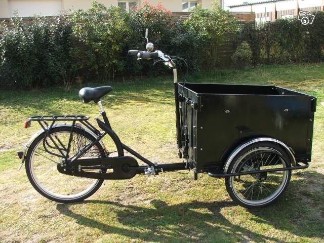 Velo tricycle adulte occasion