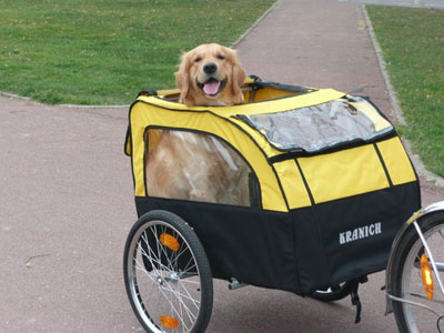 Remorque de vélo pour chien occasion