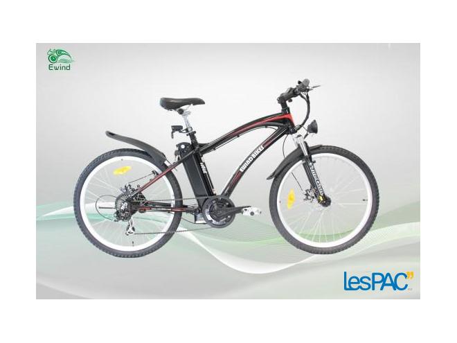 Vélo électrique à vendre