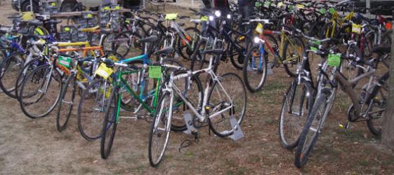 Ibex velo occasion
