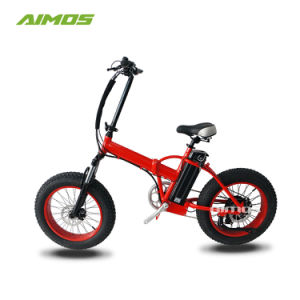 Velo electrique batterie amovible