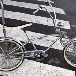 Velo lowrider occasion