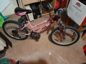 Velo occasion ottawa