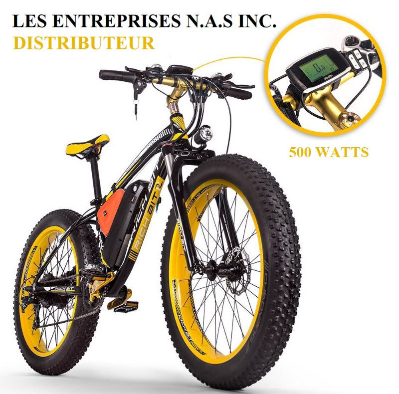 Velo electrique watt