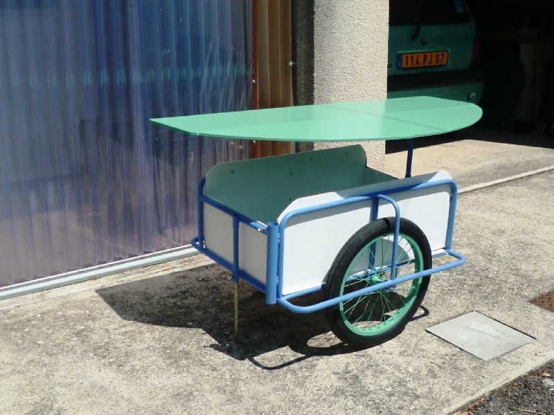 Remorque vélo occasion