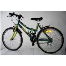 Vélo 18 pouces fille occasion