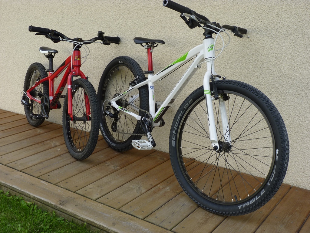 Velo orbea 20 pouces occasion