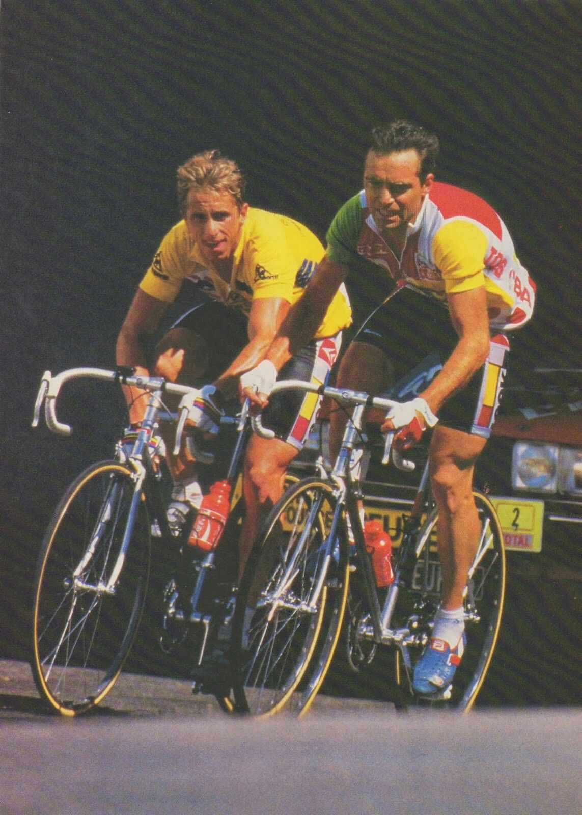 Velo appartement greg lemond