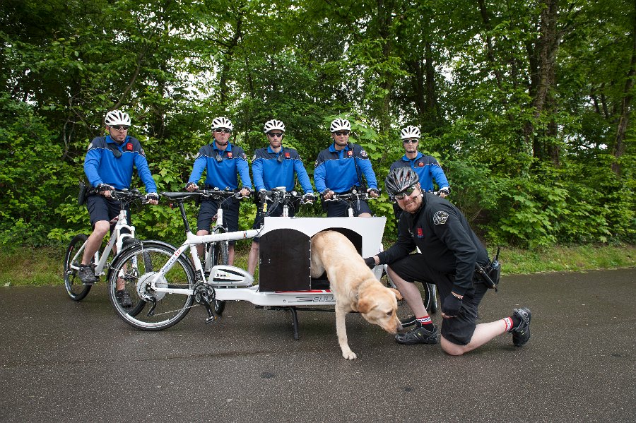 Velo cargo occasion
