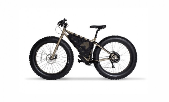 Velo electrique luxe