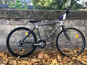 Velo femme occasion dijon