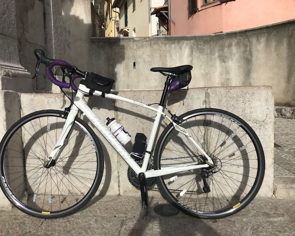 Velo specialized roubaix occasion