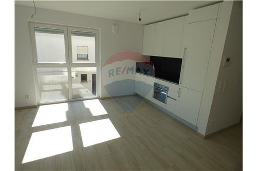 Velo appartement made in china