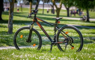Vente velo occasion ile de re