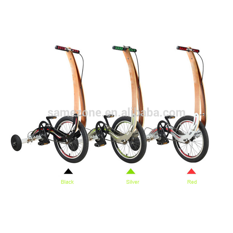 Velo tricycle electrique adulte pas cher
