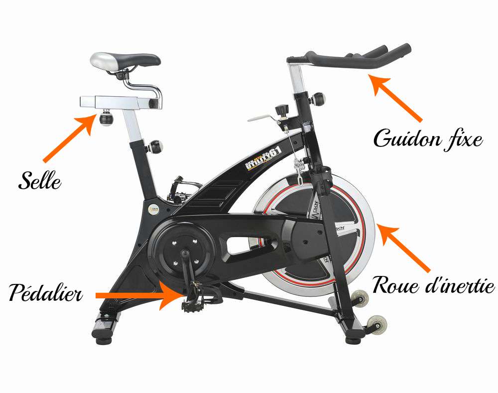 Velo appartement professionel