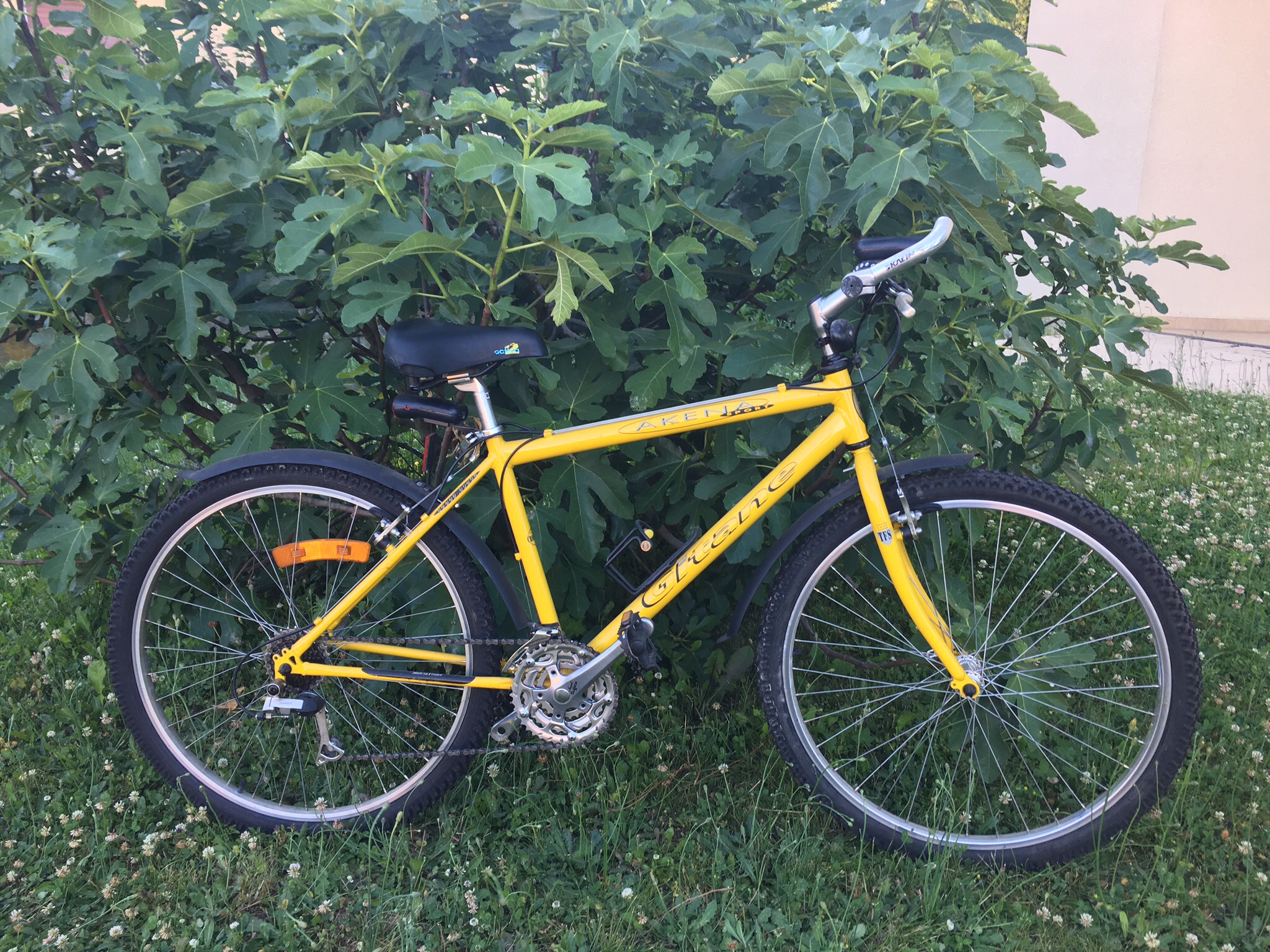 Velo homme occasion strasbourg