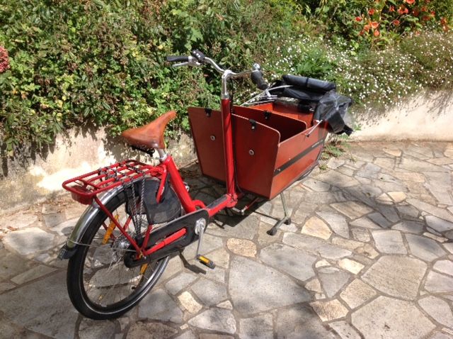Vélo biporteur occasion
