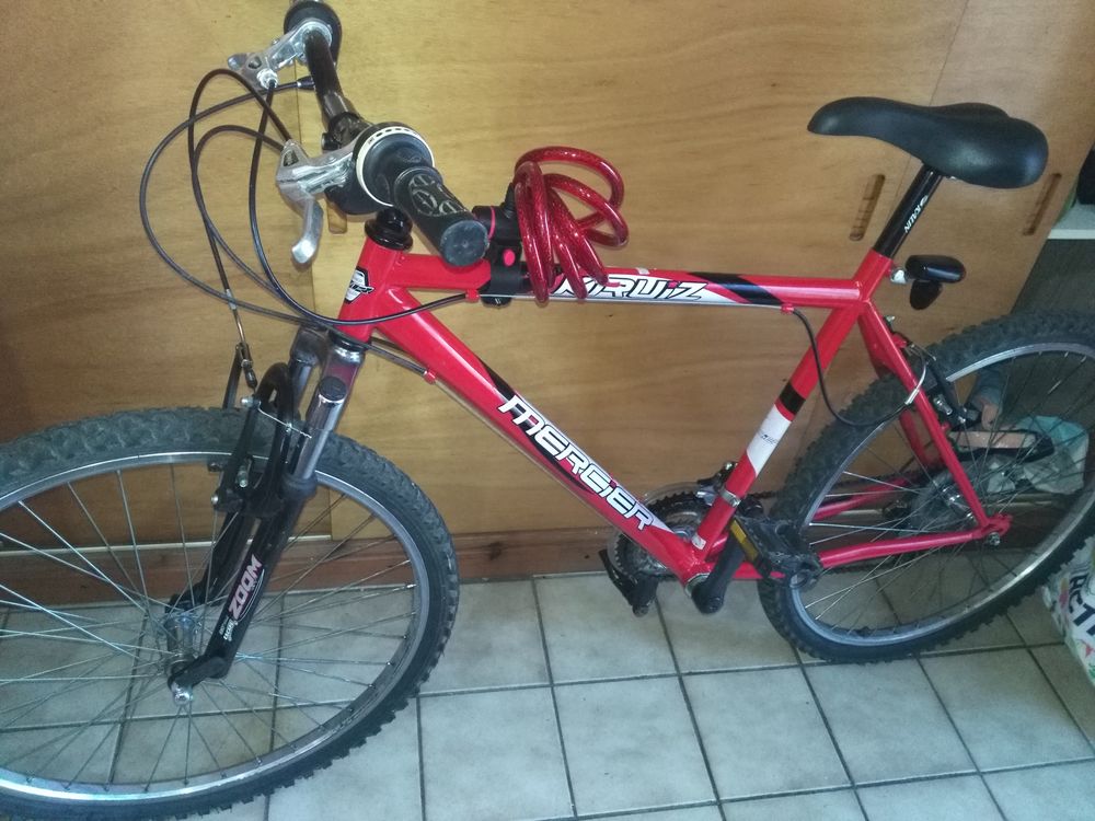 Velo rembrandt occasion