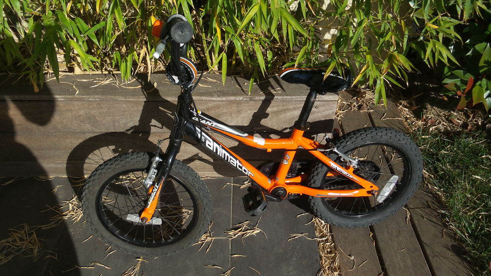 Velo pliant occasion toulouse