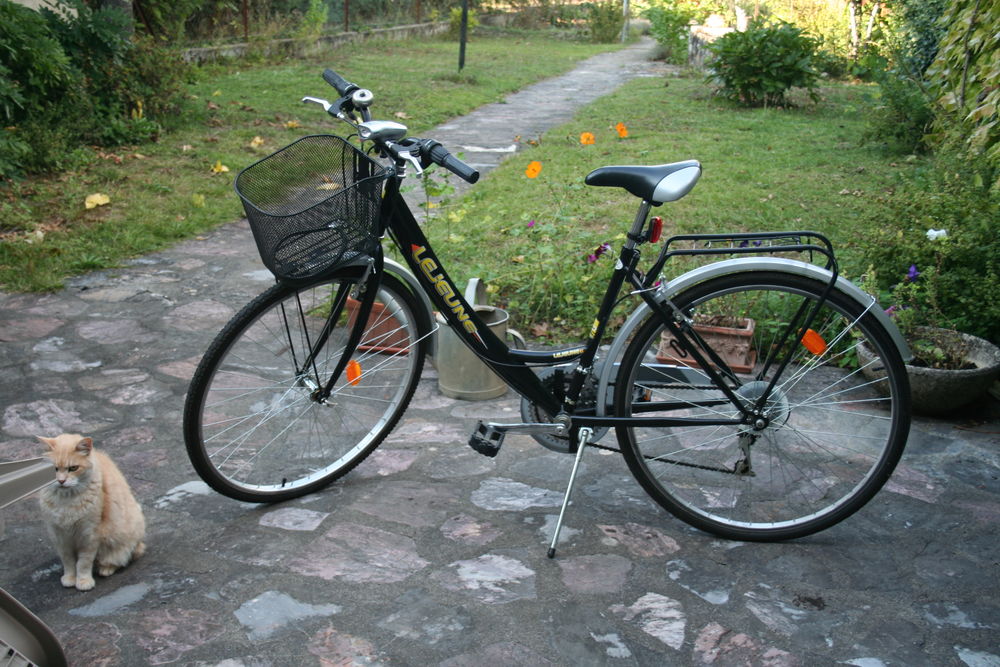 Velo occasion castres