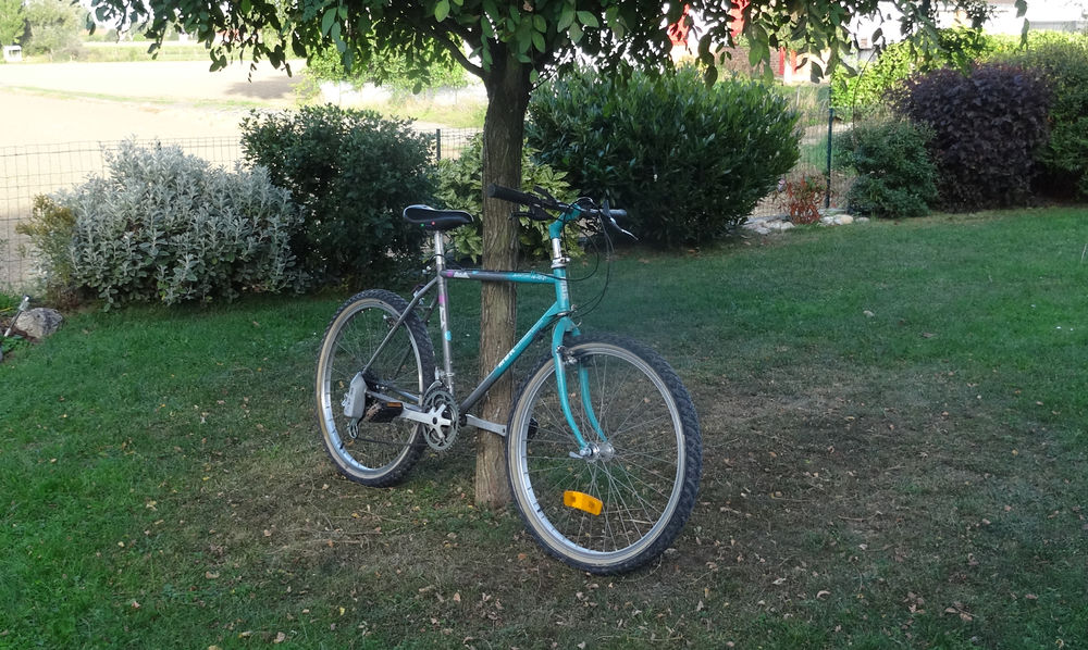 Velo femme occasion lille