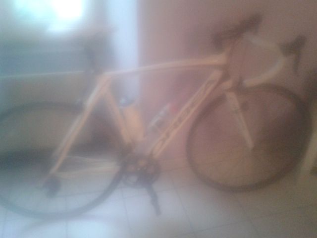 Velo occasion limoges