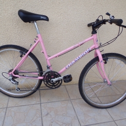 Velo vtt occasion 24 pouces