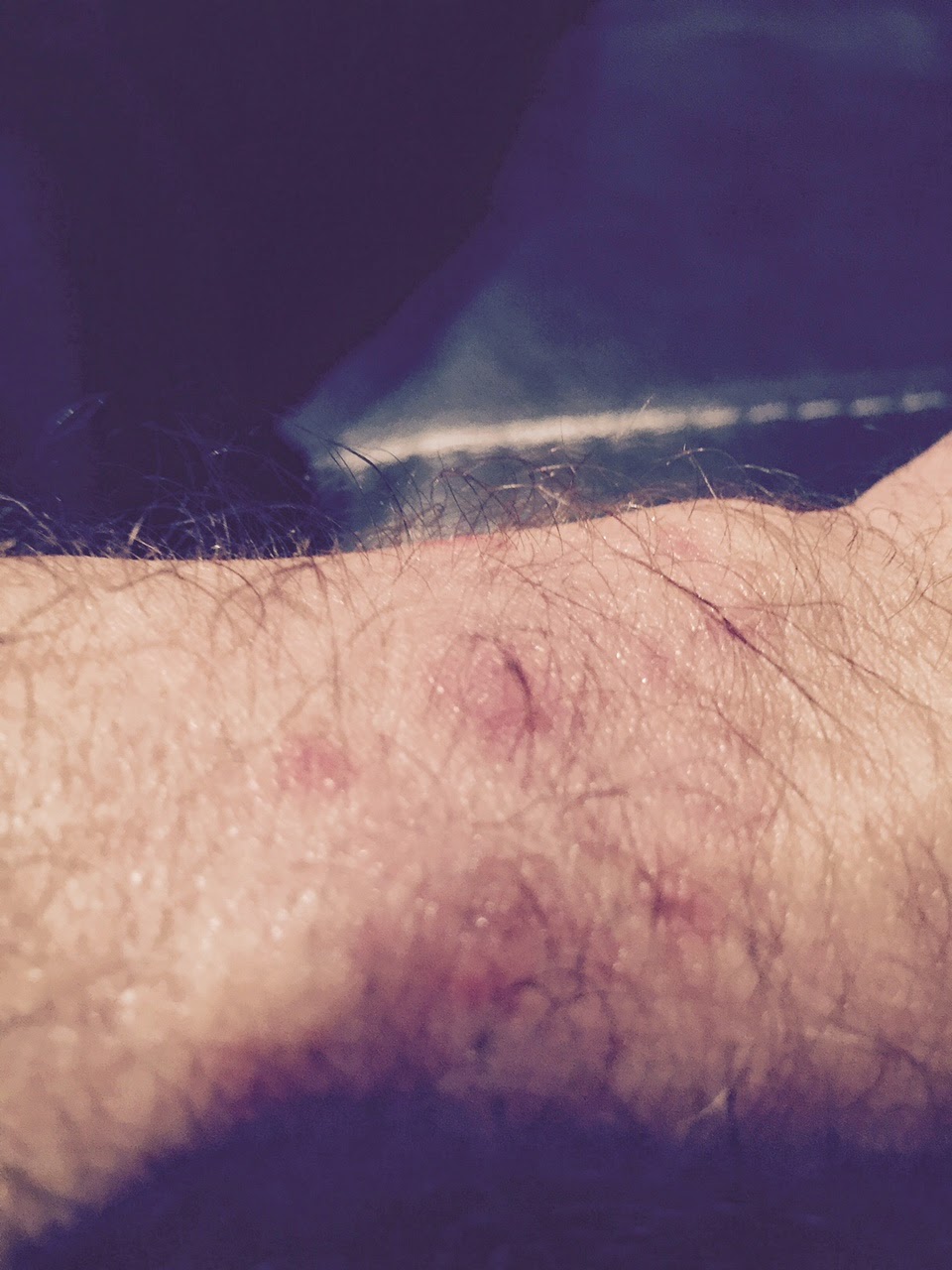 Fenix 3 velo appartement