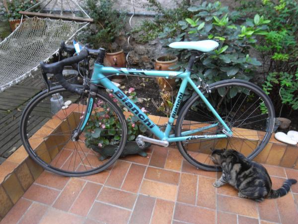 Velo de course bianchi occasion