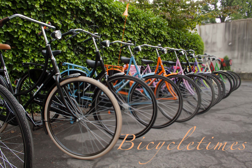 Vélos occasion rennes