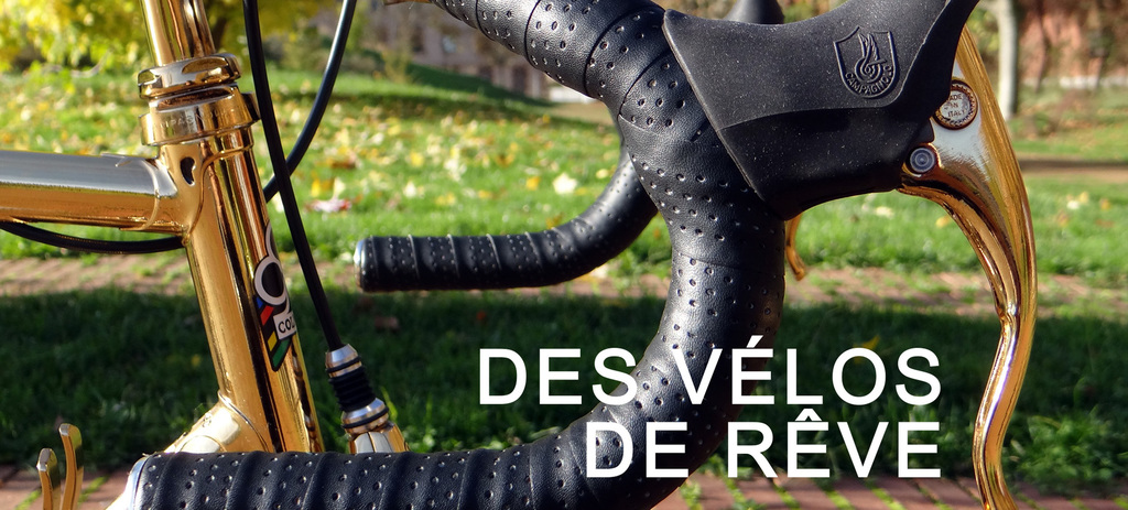 Vélo toulouse occasion