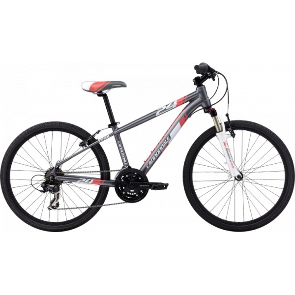 Velo de ville fille 24 pouces occasion
