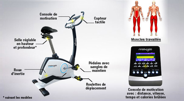Position sur velo d appartement