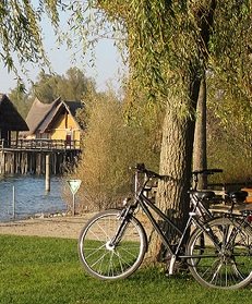 Velo occasion strasbourg petite france