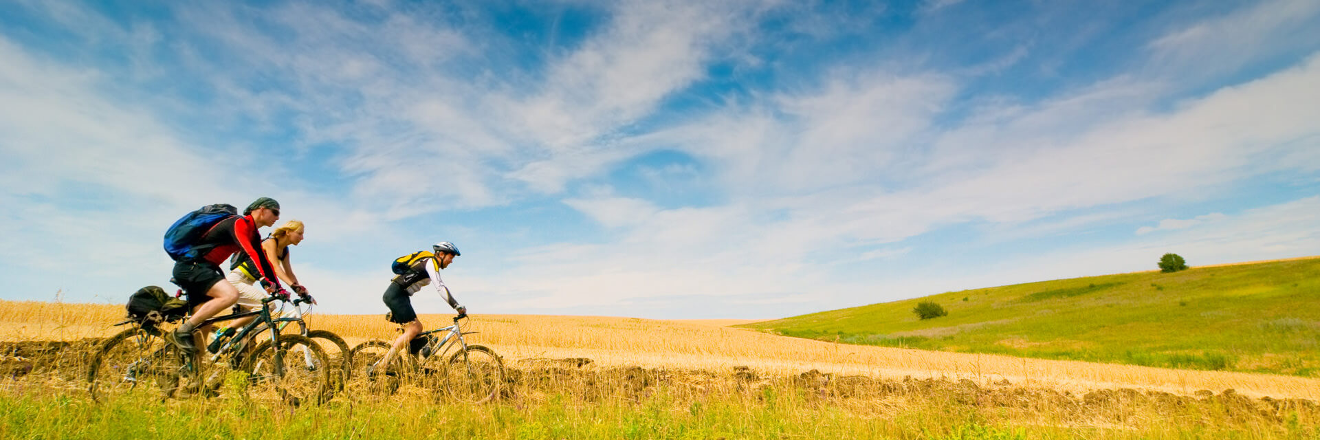 Velo route carbone taille 51 occasion