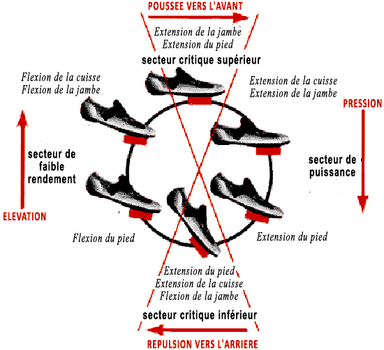 Depense energetique velo appartement