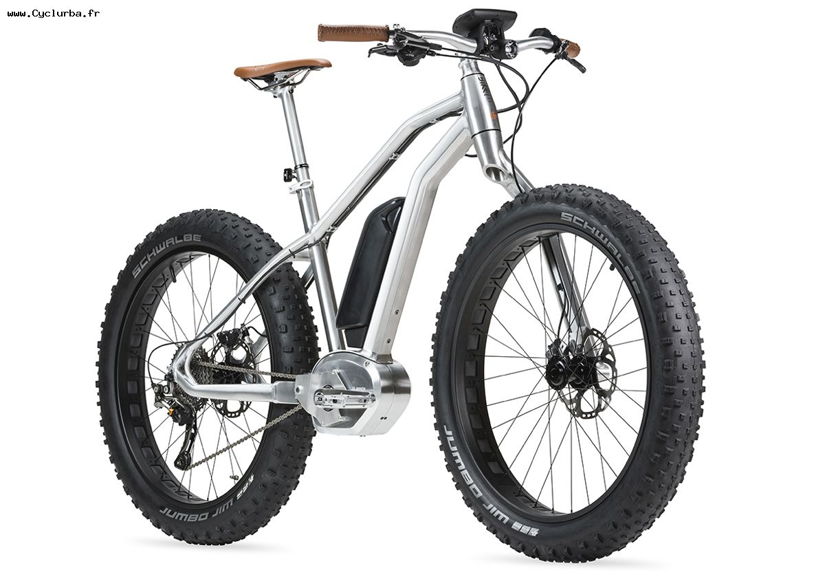 Vélo électrique bosch occasion