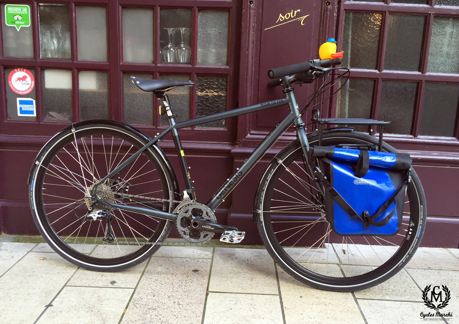 Genesis occasion velo
