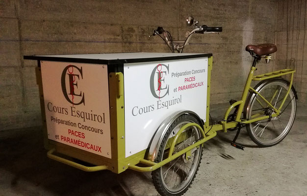 Velo triporteur occasion toulouse