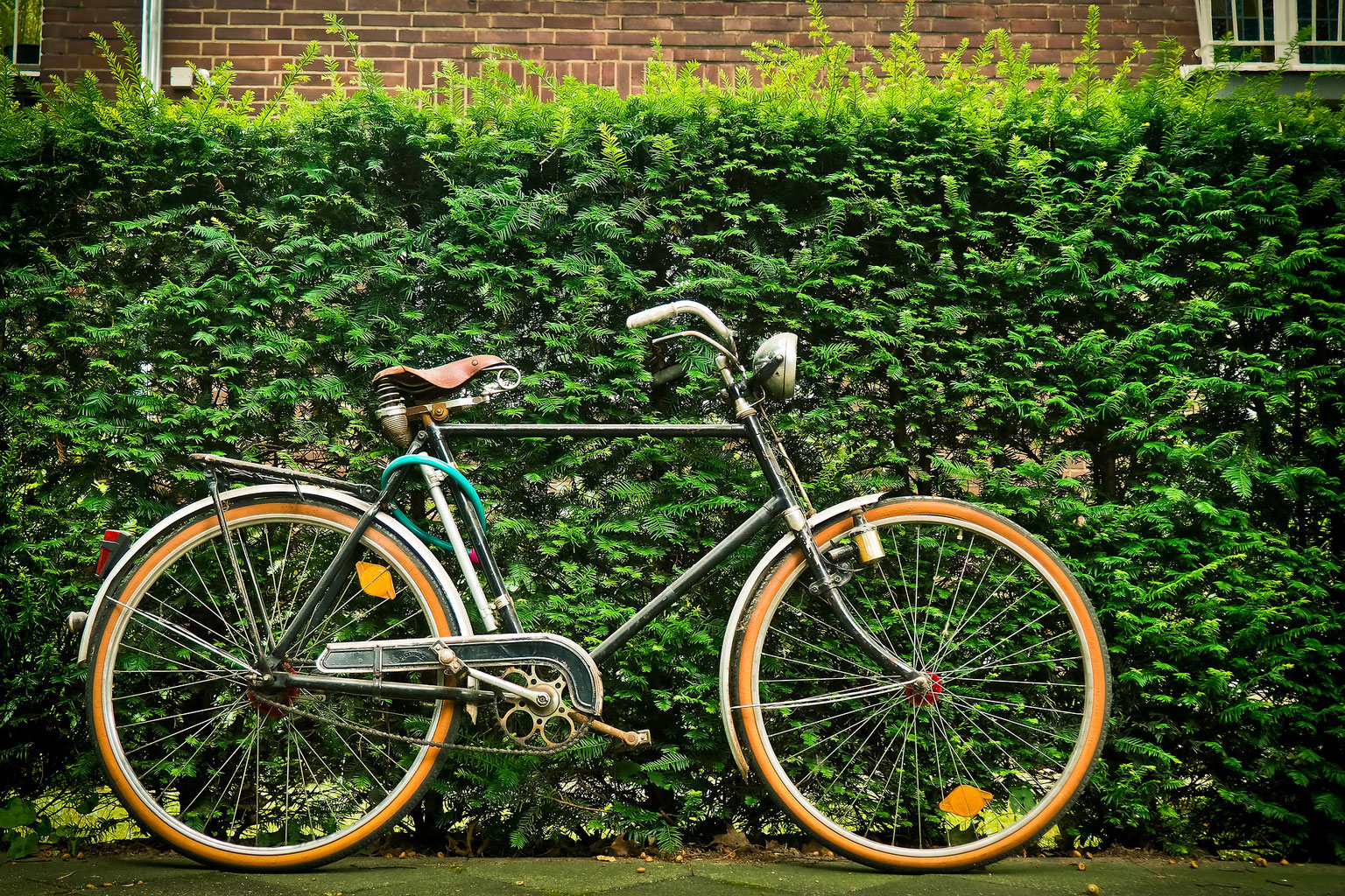 Accessoire vélo occasion