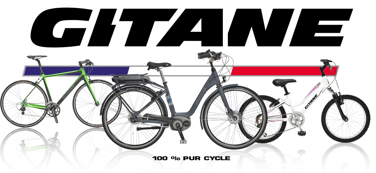 Velo de ville occasion annecy